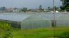 Greenhouse Tu