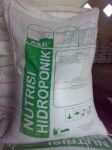 Nutrisi Hidroponik